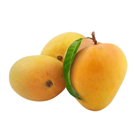 Alphonso Mangoes