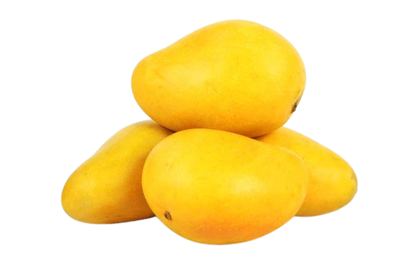 Banganapalli Mangoes