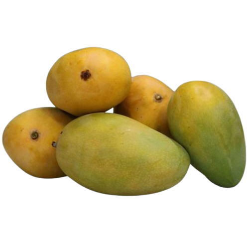 Chinna Rasalu Mangoes