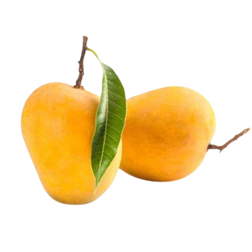 Kesar Mangoes