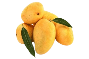 Pedda Rasalu Mangoes